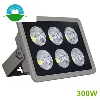 Lampu sorot LED COB daya tinggi 300-800W
